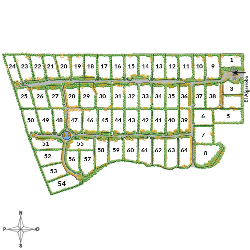 Viñas de Chicureo – Terreno 1